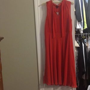Ann Taylor Petite Sz 12 Chiffon Tie Neck Dress